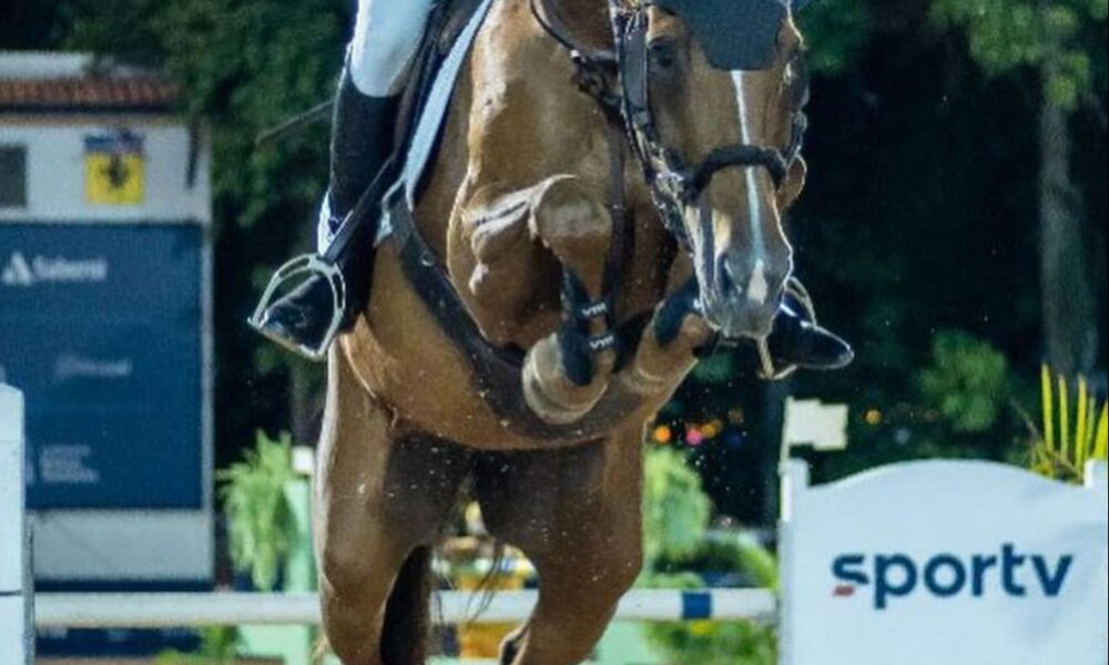 Grande Prêmio Clássico fecha disputado Nacional de Hipismo Rodolpho Luiz Figueira de Mello na Sociedade Hipica Brasileira