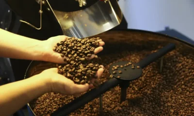 Café arábica recua e saca de 60 kg custa R$ 2.143,79