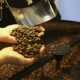 Saca do café arábica tem terceira alta seguida e é vendida a R$ 2.221,59