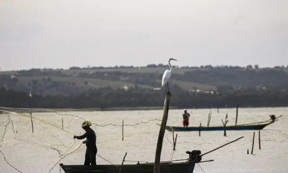 Período de defeso na Bacia Hidrográfica do Rio Amazonas termina em 28 de fevereiro