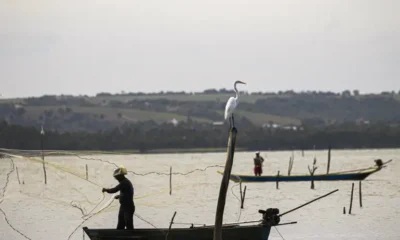 Período de defeso nas Bacias Hidrográficas do Leste termina em 28 de fevereiro