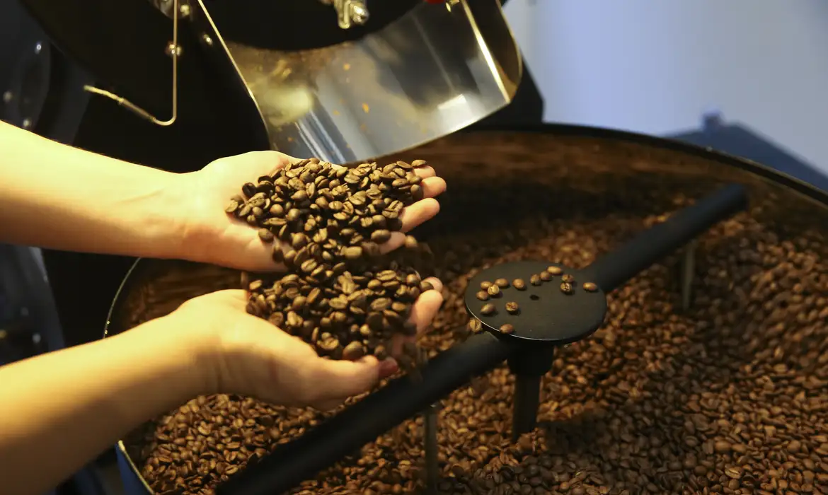 Café: produção brasileira em 2025 está estimada em 3,2 milhões de toneladas, aponta IBGE
