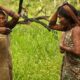 Castanha do Brasil produzida pelos povos Mẽbêngôkre-Kayapó é exportada para a Inglaterra com apoio da ApexBrasil