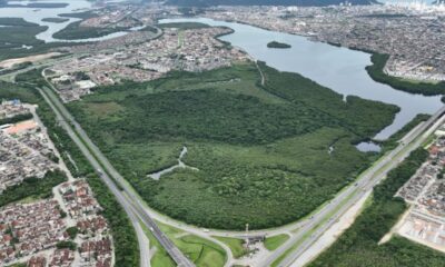 Cidades Verdes do Mundo: 34 municípios brasileiros fazem parte de seleta lista da ONU