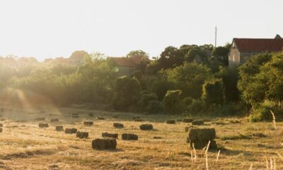Declaração do Imposto Territorial Rural: prazo vai até 30 de setembro