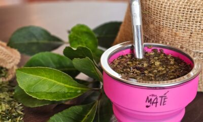 Do Paraná para o mundo: conheça empresa que exporta erva-mate para as Américas