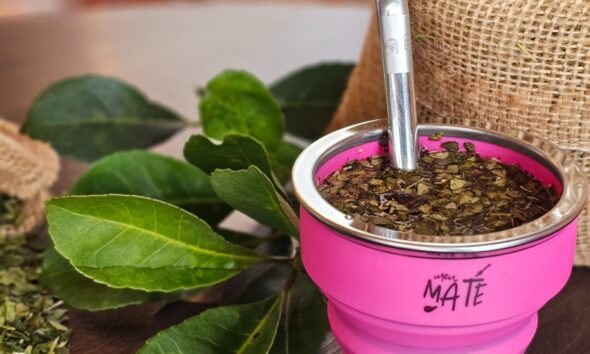 Do Paraná para o mundo: conheça empresa que exporta erva-mate para as Américas