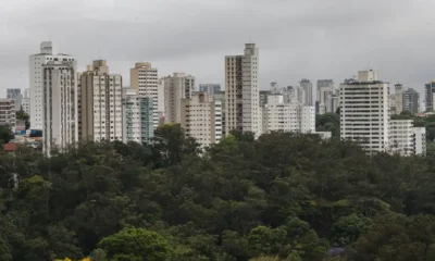 São Paulo lidera ranking de cidades brasileiras com maior intensidade de ligações empresariais