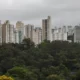 São Paulo lidera ranking de cidades brasileiras com maior intensidade de ligações empresariais