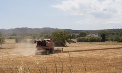 Valor da Terra Nua (VTN): prazo para envio termina nesta quarta (30)