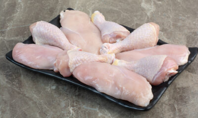 Gripe aviária: produtores de carne de frango em estado de alerta, aponta Cepea
