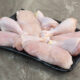 Gripe aviária: produtores de carne de frango em estado de alerta, aponta Cepea