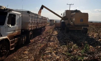 PIB cresce 1,4% puxado pela agropecuária