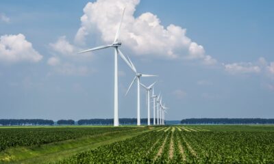 Energia limpa avança na indústria: 48% das empresas já adotam fontes renováveis