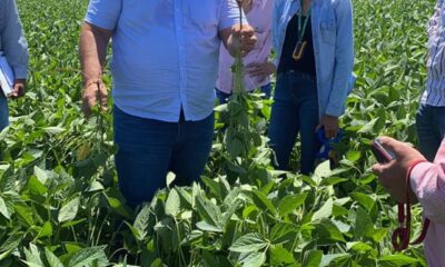 Após enchentes históricas no RS, peritos agrícolas avaliam prejuízos no campo