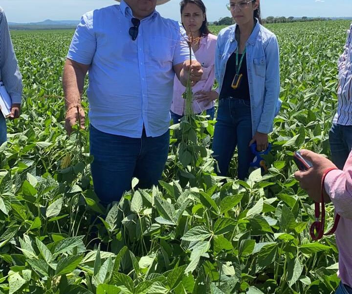 Após enchentes históricas no RS, peritos agrícolas avaliam prejuízos no campo