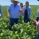 Após enchentes históricas no RS, peritos agrícolas avaliam prejuízos no campo