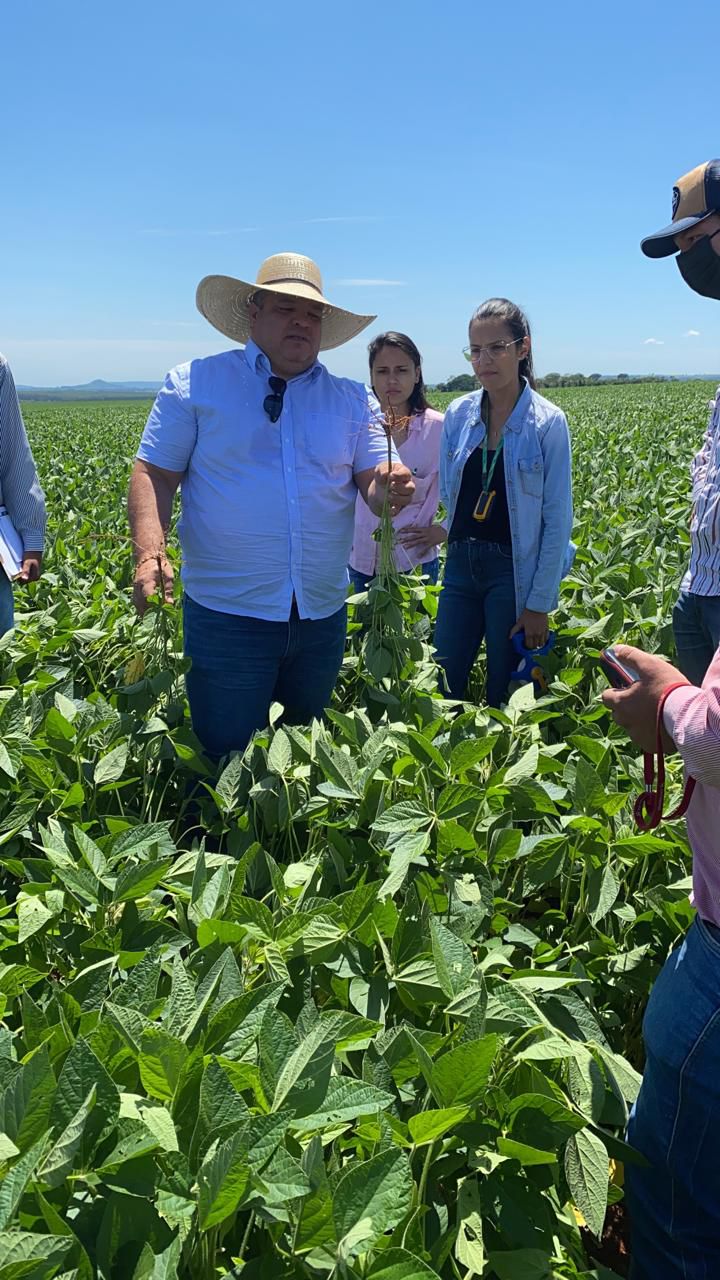 Após enchentes históricas no RS, peritos agrícolas avaliam prejuízos no campo