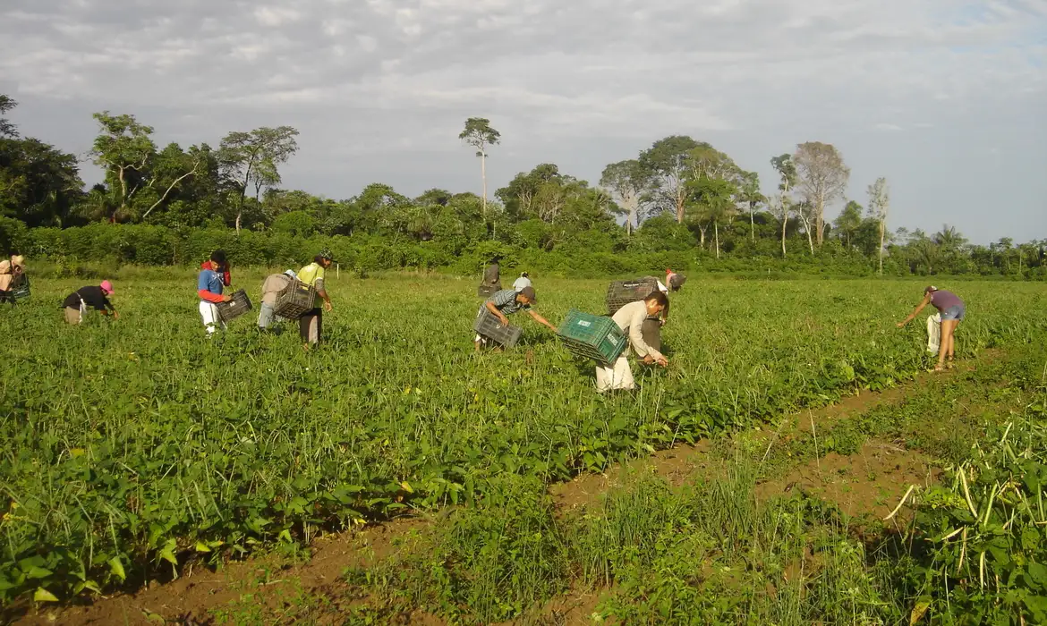 Agricultura familiar responde por 23% da produção agropecuária e 67% dos empregos no campo