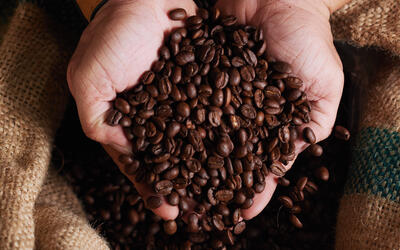 Café arábica tem queda no preço nesta quinta-feira (31)