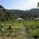 DITR 2025: prazo e orientações para a entrega da declaração do imposto rural