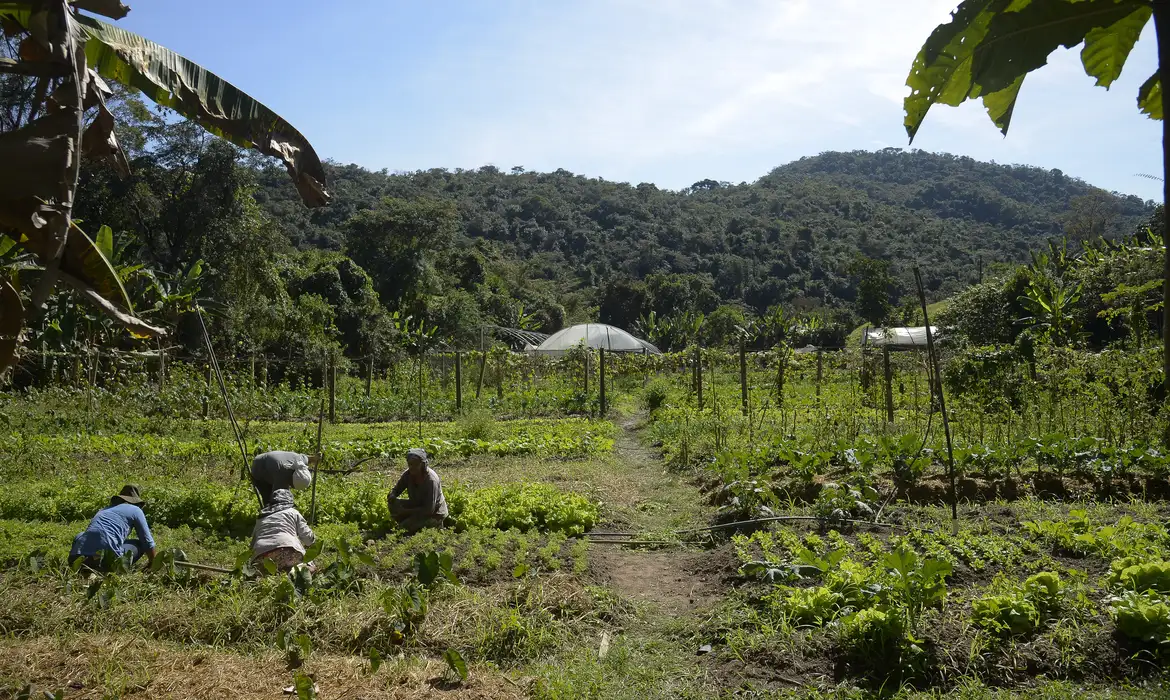 DITR 2025: prazo e orientações para a entrega da declaração do imposto rural
