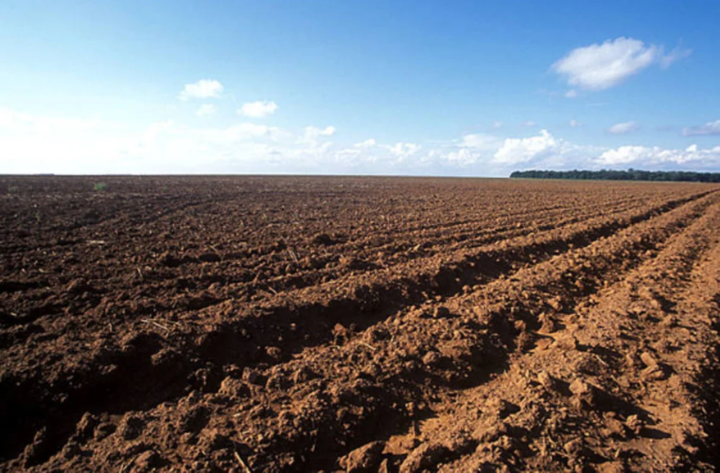Goiás inicia vazio sanitário da soja nesta sexta-feira; medida já vale em outros estados
