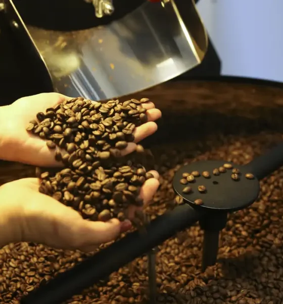 Agronegócio brasileiro bate recorde e exporta US$ 15,6 bilhões em julho
