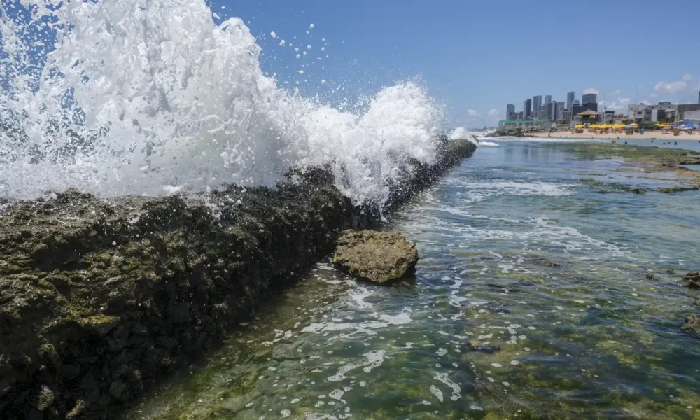 Lei do Mar: municípios costeiros deverão incluir diretrizes para conservação e uso sustentável em planos diretores