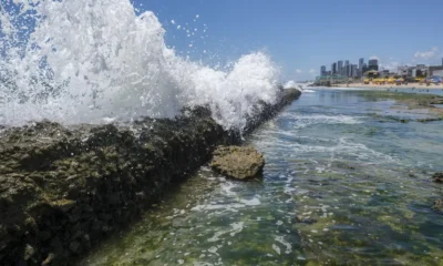 Lei do Mar: municípios costeiros deverão incluir diretrizes para conservação e uso sustentável em planos diretores