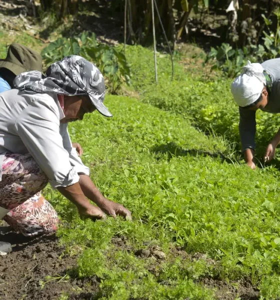 Microcrédito AgroAmigo: programa destina R$ 1 bi para produtores rurais do Norte e Centro-Oeste