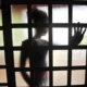Seis entre os dez estados com maiores taxas de violência sexual contra crianças e adolescentes fazem parte da Amazônia Legal