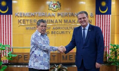 Brasil e Malásia retomam comércio de frango e ampliam mercado agropecuário