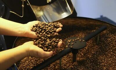 Café: confira as cotações para terça-feira (7)