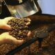 Café: confira as cotações para terça-feira (7)