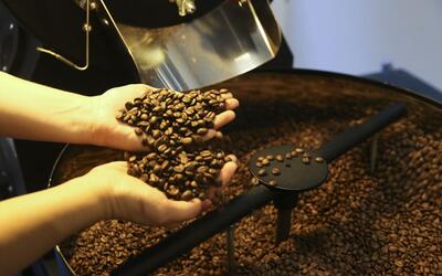 Café: confira as cotações para terça-feira (7)