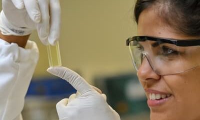 Inova Talentos tem 209 vagas abertas para pesquisadores em tecnologia e inovação