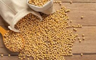 Soja e trigo: confira as cotações de preço para esta sexta-feira (17)