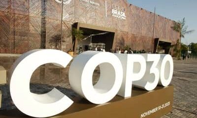 COP30: Estudo aponta que FNO impulsionou emprego, renda e redução do desmatamento na Amazônia