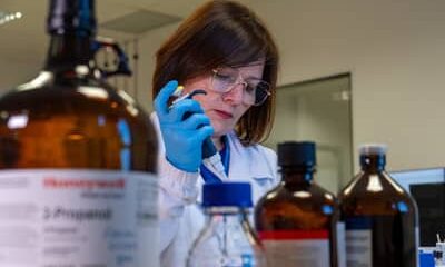 IEL lança novas vagas do Programa Inova Talentos com bolsas de até R$ 12 mil