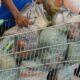 Inmetro encontra 3,7 mil irregularidades em produtos da cesta básica durante operação nacional