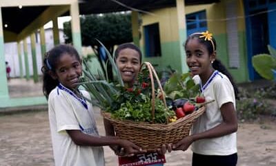 Novo Pronacampo: prazo para adesão é prorrogado até 30/11