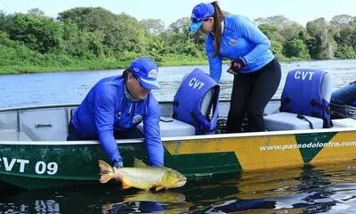 Pesca comercial: confira início do período de defeso nas bacias hidrográficas