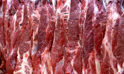 Brasil chega a 500 mercados abertos ao fechar acordo com Guatemala sobre carne bovina