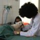 Produtos veterinários terão canal obrigatório de atendimento ao usuário; veja novas regras