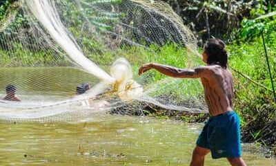 Seguro-defeso: pescadores precisam enviar REAP pelo PesqBrasil até esta quarta-feira (31) 