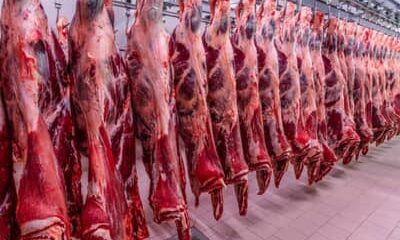 Brasil amplia exportação de carne bovina ao Vietnã