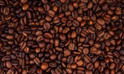 Café hoje: confira as cotações para terça-feira (6)