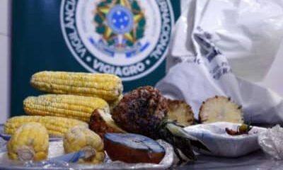 MAPA atualiza regra para entrada de produtos agropecuários no país