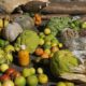 Prazo para adesão ao PAA termina em 19 de janeiro para municípios do Norte e Nordeste